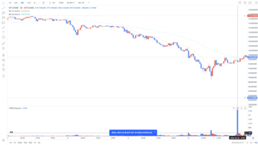 빗썸 ‘2000원’이 ‘2000BTC’로- 전산오류 추정에 시세 급락·계정 차단 파문